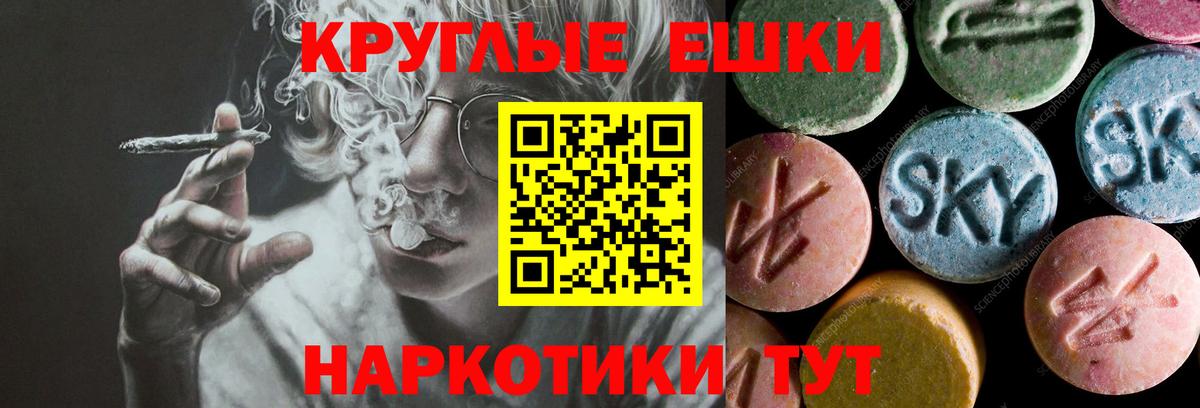 Ecstasy Philipp Plein Артём