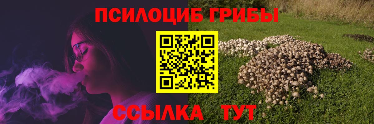 Псилоцибиновые грибы Psilocybine cubensis Артём