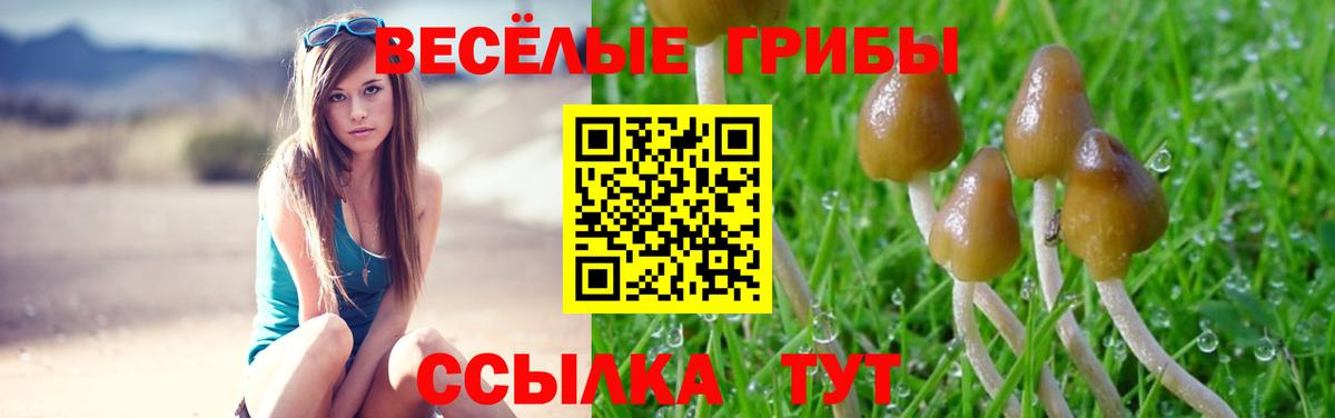 Галлюциногенные грибы Psilocybe  Вход с VPN  Артём 